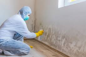 Professional Mold Remediation in Coalgate, OK